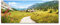 Tulup Glas-Bild Wandbild aus Glas - Wandkunst - Wandbild hinter gehärtetem Sicherheitsglas - Dekorative Wand für Küche & Wohnzimmer 125x50 - Landschaften - ALM Weide Alpen - Grün