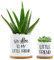 Tuitessine Say Aloe to My Little Friend Planter Plant Lover Set of 2 Spring Funny Pun Flower Pot with Bamboo Tray Ceramic Indoor Succulent Hole Spring Birthday Housewarming Gifts (No Plants)