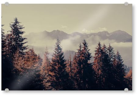 artboxONE Acrylglasbild 30x20 cm Natur Bergwald Bild hinter Acrylglas - Bild Berg Berg dolomiten