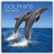 Dolphins – Delfine – Delphine 2025 – 16-Monatskalender: Original The Gifted Stationery Co. Ltd [Mehrsprachig] [Kalender] (Wall-Kalender)