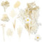 Natürliche Getrocknete Blumen, Trockenblumen Set Trockenblumen zum Basteln, Gemischte Trockenblumen Deko für Kunst Basteln DIY Kerzen Harz Scrapbooking Handwerk Karten Machen