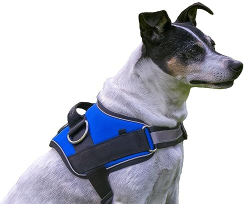 Pettorina per cani Premium anti-tiraggio, traspirante e regolabile, gilet imbottito durevole addestramento e passeggiata con taschino, nastri riflettenti, collare grande medio piccolo (S)