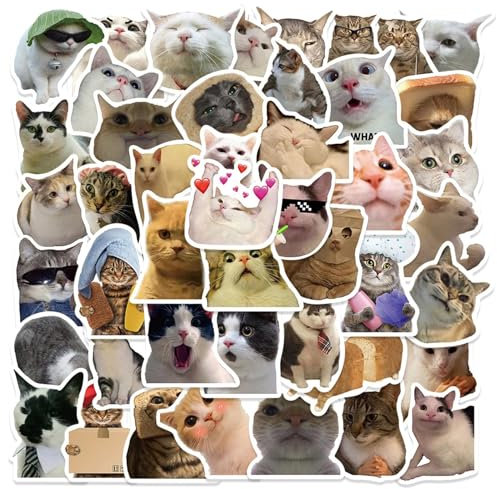 Yingjie 50 Pieces Cat Stickers, Funny & Cute Cat Meme Stickers, Waterproof, Suitable for Laptops, Phones, Bottles
