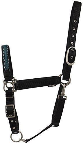 CATAGO Diamond Series Pony Halfter S schwarz/türkis