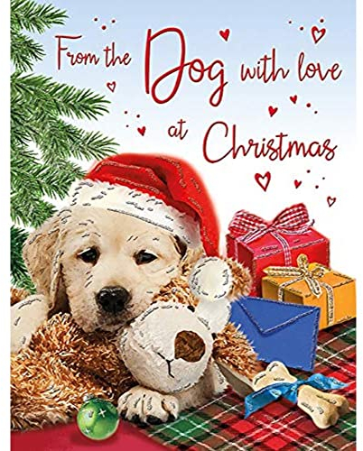 Regal Publishing Traditionelle (niedliche) Weihnachtskarte vom Hund – 20,3 x 15,2 cm