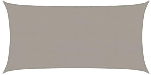 vidaXL Toldo de Vela Rectangular HDPE Gris Claro 160 g/m² 2,5x5 m, Vela de Sombra de Sol, Vela de Sombra, toldo de Patio, Vela de Sombra Solar