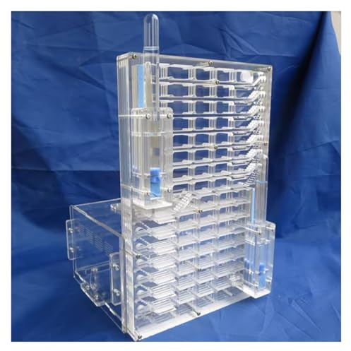 Ameisenburg Terrarium, Transparentes Acryl-Ameisenfarm-Lebensraum-Nest-Wissenschaftskit zur Beobachtung und Untersuchung des Ökosystems
