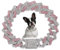 Hundehalsband, Diamant-Metall, kubanische Glieder-Hundehalsband, 15 mm breit, glitzernd, für kleine, mittelgroße und große Haustiere, Hunde, Katzen, Rosa (45.7 cm)