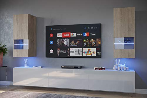 Furnitech Wohnwand Wohnzimmer - Wohnzimmer Möbel mit LED RGB - 16 Farben - Hängend Wohnwand Modern - Wohnzimmer Schrankwand mit Regale und TV Schrank (Sezana AN21-18SW-HGM9 1A)