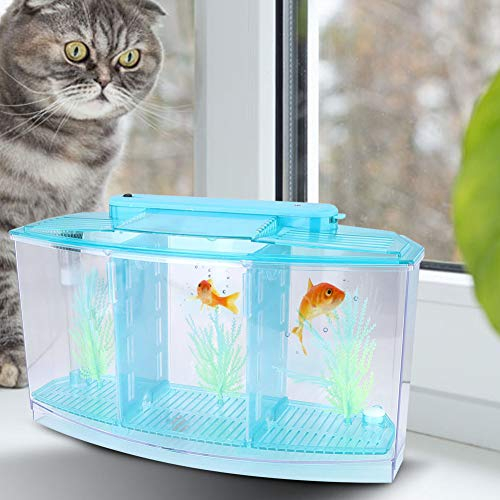Tbest Etta+Fisch+Tank+mit+Trennwand, 5er-Set, Komplett, 10 Geteilt, Rund, Aquarium, LED-Acryl, DREI Abteilungen, Zucht-Isolationsbox für Kleine Fische, Lila (Blue)