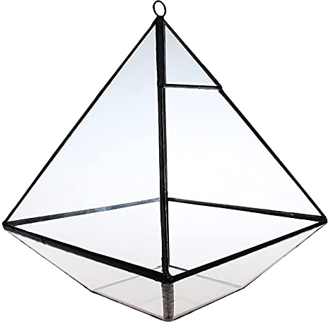 OQHAIR Pflanzen-Display-Box, Glas, transparent, Tischplatte, für Sukkulenten, Terrarium, Box zum Aufhängen, Blumentopf, Farn, Moos, Topf für Pflanzen (Farbe: Schwarz, Größe: Einheitsgröße