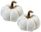 Polyresin Kürbis weiß 12 x 9cm - 2 Stück Tisch-Deko Herbst wie echt Pumpkin Halloween Dekofigur