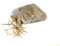 Streichhölzer aus Holz zum Basteln Modellieren - Kunst & Basteln Match Sticks für Kinder & Erwachsene (2.000 Natur)