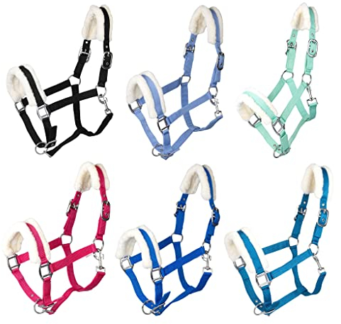 RL24 - Halfter mit Plüschpolsterung Basicline | Halfter für Pferde & Ponys | Pferdehalfter mit nietenverstärkten Verschlüssen & Karabinerhaken zum Öffnen | Pferde Zubehör in Hellgrün | Shetty