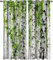 POKENE Vorhang Wald Blickdicht Gardinen mit Ösen 3D Druck Birke Blickdichte Vorhänge Erwachsener Vorhang Verdunkelung Wärmeisolierend Wohnzimmer Schlafzimmer 2 Stück 75x166 cm (BxH)