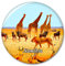 Namibia Kühlschrankmagnet Dekorativer Magnet Aufkleber Reise Souvenir Sammlung Tourist Stadt Geschenk Whiteboard Küche