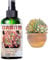 Plant Fertiliser - Fertilizer Indoor Potted Plants | 150ml Cactus Food Plant Fertilizer, Liquid Fertiliser Indoor Plants Food, Spray Root Stimulator, Cactus Fertilizere