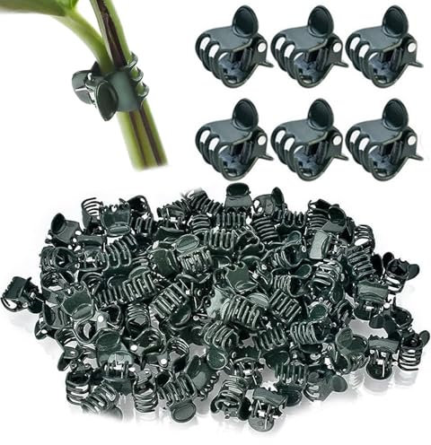 sundrerfect Lot de 100 Attaches pour orchidées et Plantes grimpantes – Clips Ajustables 1,5 cm en Plastique Durable, réutilisables pour tiges de tomates, concombres, serres et balcons