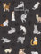 Cats Notebook/ Journal: For all the cats lover a cute notebook to keep or gift