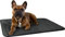 normani Hundedecke - Weiche Tierdecke - Hundematte aus schadstofffreiem Material - 40x50 cm - 60x80 cm - 70x100 cm Farbe Anthrazit Größe 60 cm x 80 cm