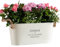 Dust and Things Engraved Metal Plant Pot 'Blooming Wonderful' - Unique Indoor Outdoor Flower Planter - Fathers Day or Birthday Gift for Grandad - Medium