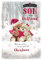 Piccadilly Greetings Weihnachtskarte für Sohn und Freundin, 22,9 x 15,2 cm