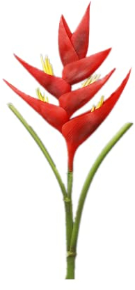 86 cm große Paradiesvogel-Helikonien-Stiel,künstliche Blumen,1 Stiel,7 Blütenblätter,permanente Blume,Girlande für Innen- und Außenbereich,für Zuhause,Garten,Büro,Veranda,Hochzeitsdekoration (rot)