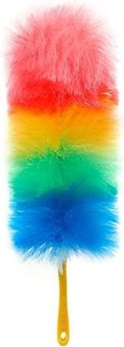 RAKUTE Ensemble Plumeau Net Poulet Rouge Plumeau Plumeau Antistatique Ménage Dépoussiérage Couleur Plastique Nylon Outil De Nettoyage Poignée Plumeaux Brosses