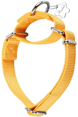 Dazzber Martingal Halsbänder für Hunde, Verstellbar Langlebig Kein Escape Stop Ziehen Hundehalsband Nylon für Große/Mittlere/Kleine Hunde (L(42cm-66cm), Helles Gelb)