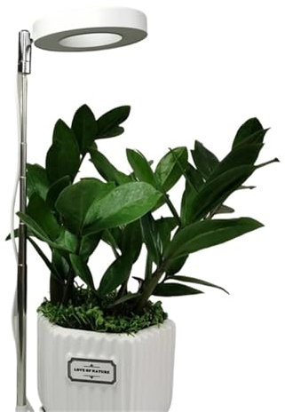 Plant Grow Light, Grow Light Full Indoor Plants Height Adjustable Growing Lamp for Spectrum LED Plant Light with Timer 3/9/12H Dimmable Brightness for Indoor Growth(Bianco)