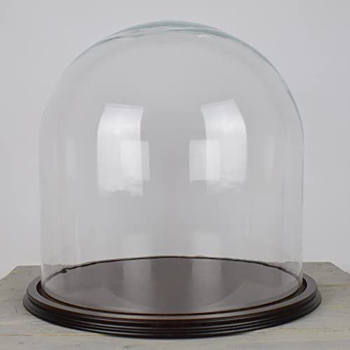 EMH Cloche dôme en verre aspect vintage Grande taille 41 x 39 cm