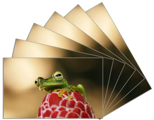 Wallario 6er Set Frühstücksbrettchen aus Glas, Glasunterlage, Glasbrettchen Frosch sitzt auf Einer Knospe, Größe 14 x 23 cm, Sicherheitsglas
