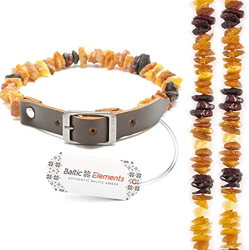 Bernsteinkette Hund & Katze – Verstellbares Bernsteinhalsband – Bernstein Halsband für große & kleine Hunde und Katzen (20-22 cm)
