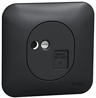Schneider Electric - Ovalis - Prise RJ45 - cat.5e UTP - grade 1 - téléphone Avec plaque -Anthracite - S460471