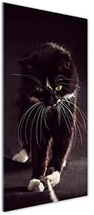 Tulup Glas-Bild Wandbild aus Glas - Wandkunst - Wandbild hinter gehärtetem Sicherheitsglas - Dekorative Wand für Küche & Wohnzimmer 50 x125 - Tiere - Schwarze Katze - Schwarz