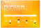 SOME BY MI Propolis B5 Glow Barrier Calming Starter Kit - Skincare Set - Gold - Empfindlich - 4 Produkte - Box