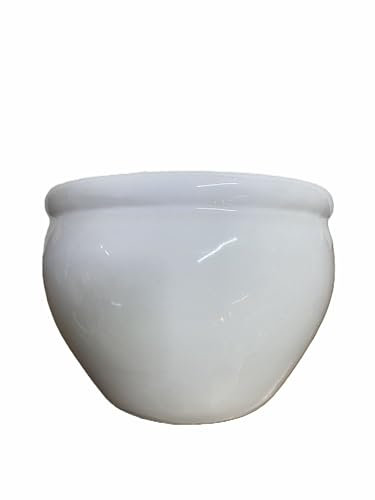 Generico Centro Ardolino Vaso Caspo in ceramica Bianco portavaso per Fiori e Piante Disign Albero (Medio)