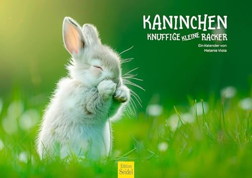 Edition Seidel Premium Kalender Kaninchen 2026 Format DIN A3 Wandkalender Tierkalender Häschen Mümmler Tierkinder Wildtiere Waldtiere Haustiere Melanie Viola