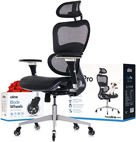 Oline ErgoPro ergonomischer Bürostuhl – Schreibtischstuhl mit verstellbarer 3D-Armlehne, 3D-Lendenwirbelstütze und erstklassigen Lenkrollen – Mesh-Computerstuhl, Gaming-Stuhl, Chefdrehstuhl (Schwarz)