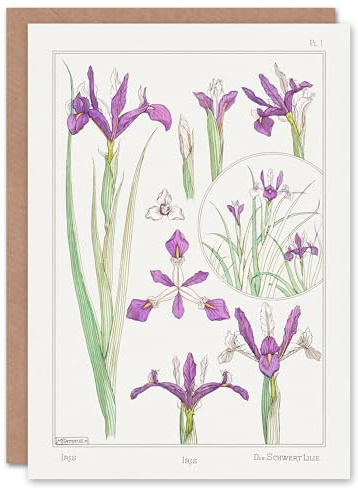 Artery8 Maurice Pillard Verneuil Art Card Purple Iris Flower