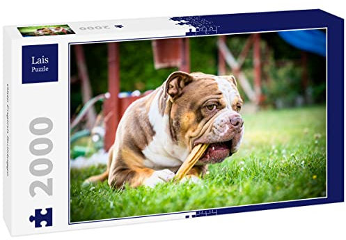 Lais Puzzle Olde English Bulldogge 2000 Teile