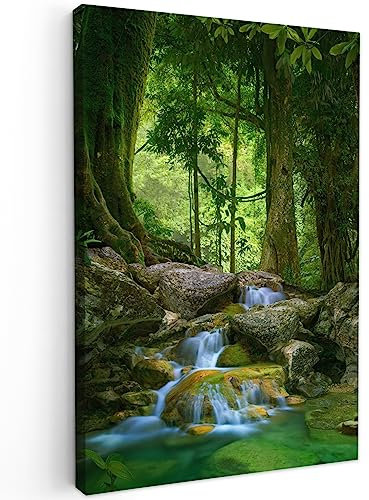 MuchoWow© Impression sur Toile Photo Peinture 40x60 cm Tableau Decoration Murale Chambre Salon Maison Deco Cuisine Jungle - Pierres - Eau - Nature - Plantes