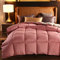 Bettdecke Winter-Winter Duvet-WeißE GäNse-/Entendaunen-Baumwolldecke, Hochwertige 5-Sterne-Hoteldecke, Bequem Und Superwarm Ohne Daunen-Geschenke FüR MüTter