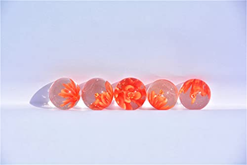 Worf Glaskugeln Murmeln mit Blüten, Ø ca. 16 mm, 5 Stück (rot)