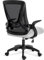 Blisswood Adjustable Office Chair, Desk Chair, Mesh Swivel Computer Chair With 90° Flip-up Armrest With Lumbar Support Adjustable Height (Grey & Black)