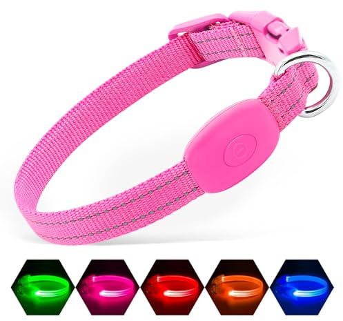 Illumifun LED-Hundehalsband, wiederaufladbar, wiederaufladbar, leuchtendes Hundehalsband, wasserabweisend, verstellbar, Sicherheitshalsband für kleine, mittelgroße und große Hunde, leuchtet im Dunkeln