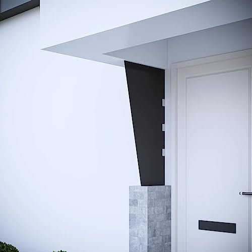 RAUGAJ Side Panel for Door Canopy Black 50x100 cm Tempered Glass,Color: Black