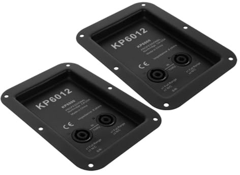 DECORNIJIA 2 Pezzi Piastra Terminale Altoparlanti Ferro Doppia Presa per Connessione Audio Stabile Montaggio Facile per Casse Stage Box Connettore per Amplificatore e Audio