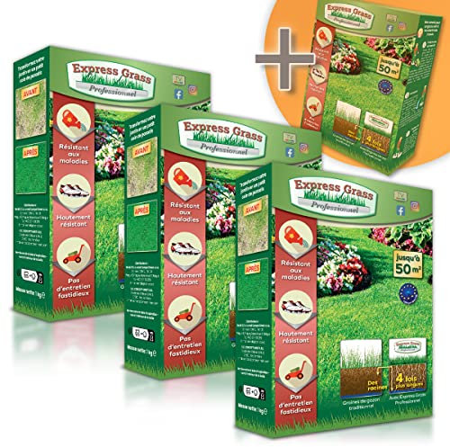 Semillas de césped profesionales - Fiable, resistente al frío y al calor - Germinación ultrarrápida y densa (10 días) - Todos los climas (3 cajas + 1 gratis = 200M²)