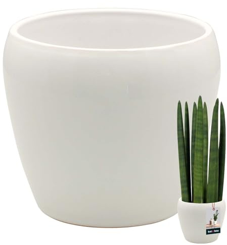 KOTARBAU® Vaso da fiori bianco interno rotondo, diametro 15 cm, altezza: 15 cm, in ceramica smaltata, per interni, vaso per orchidee, vaso grande